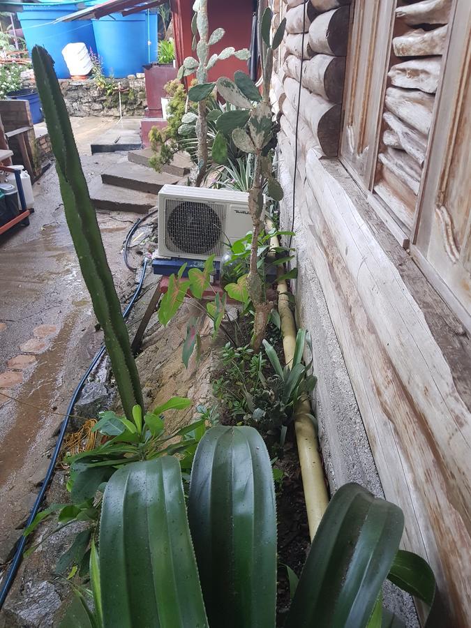 Inírida Hotel Cabana Guainiana מראה חיצוני תמונה